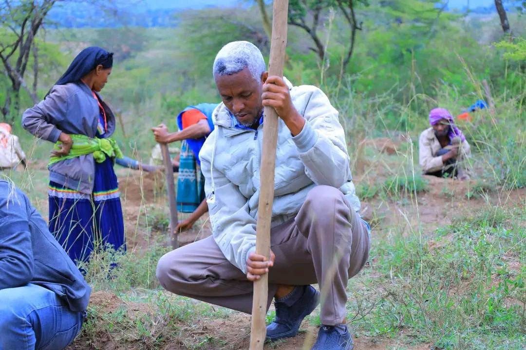 የአረንጓዴ አሻራ ዝግጅት በዌራ ወረዳ
