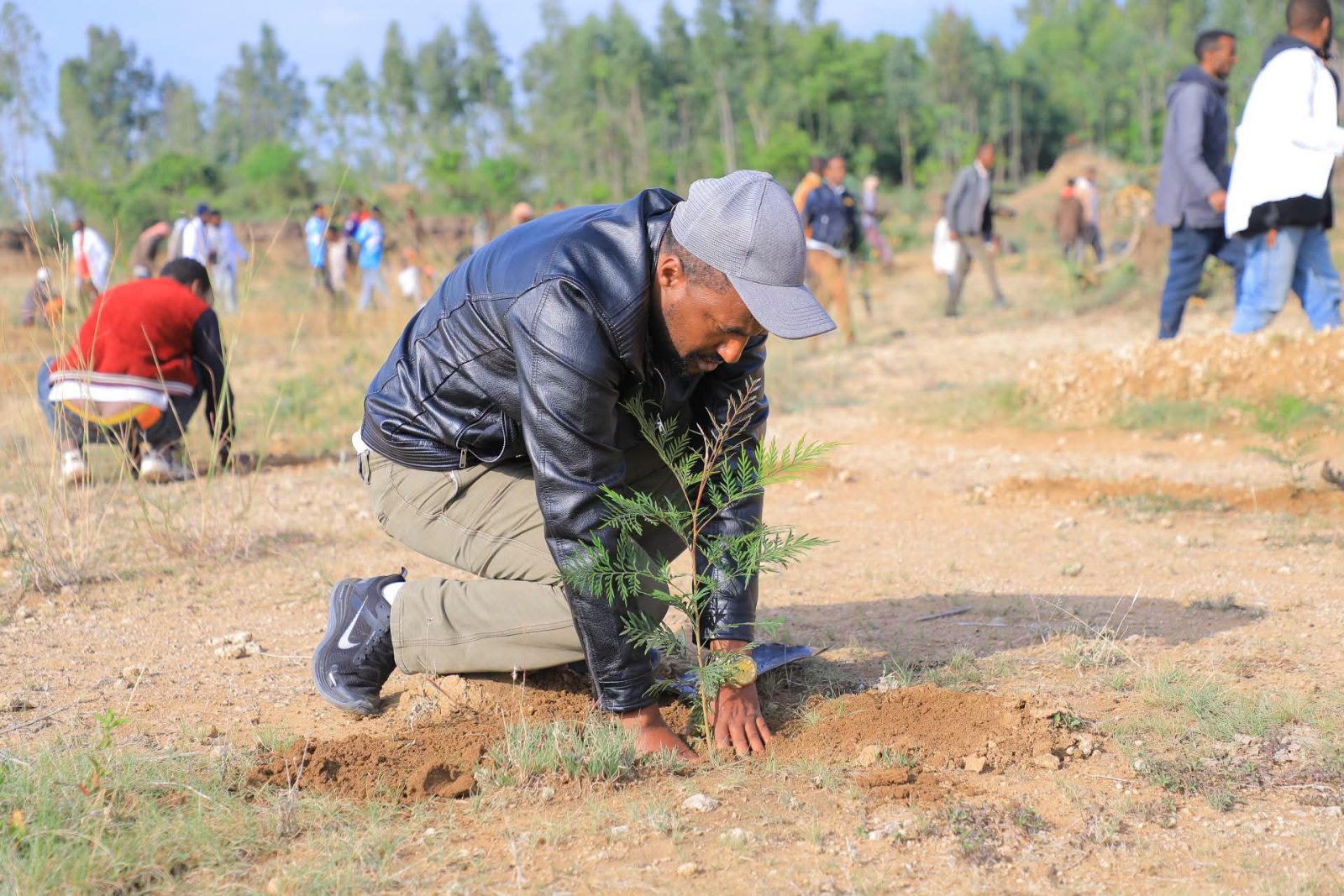 በሀላባ ዞን በዌራ ዲጆ ወረዳ ዞናዊ አንድ ጀምበር የአረንጓዴ አሻራ መርሀ ግብር ማስጀመሪያ በይፋ ተጀመረ