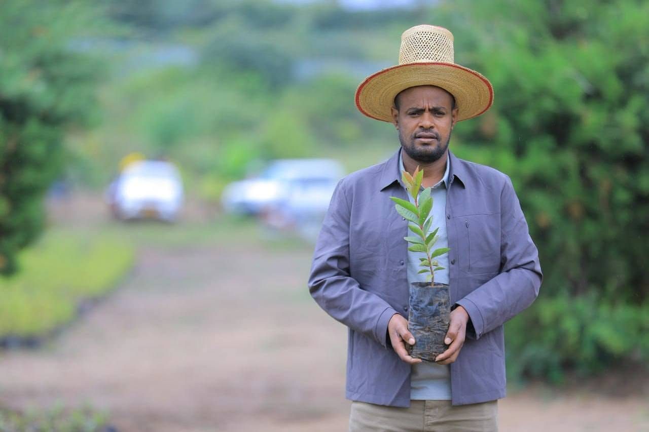 ተስፋን እንትከል 🌱